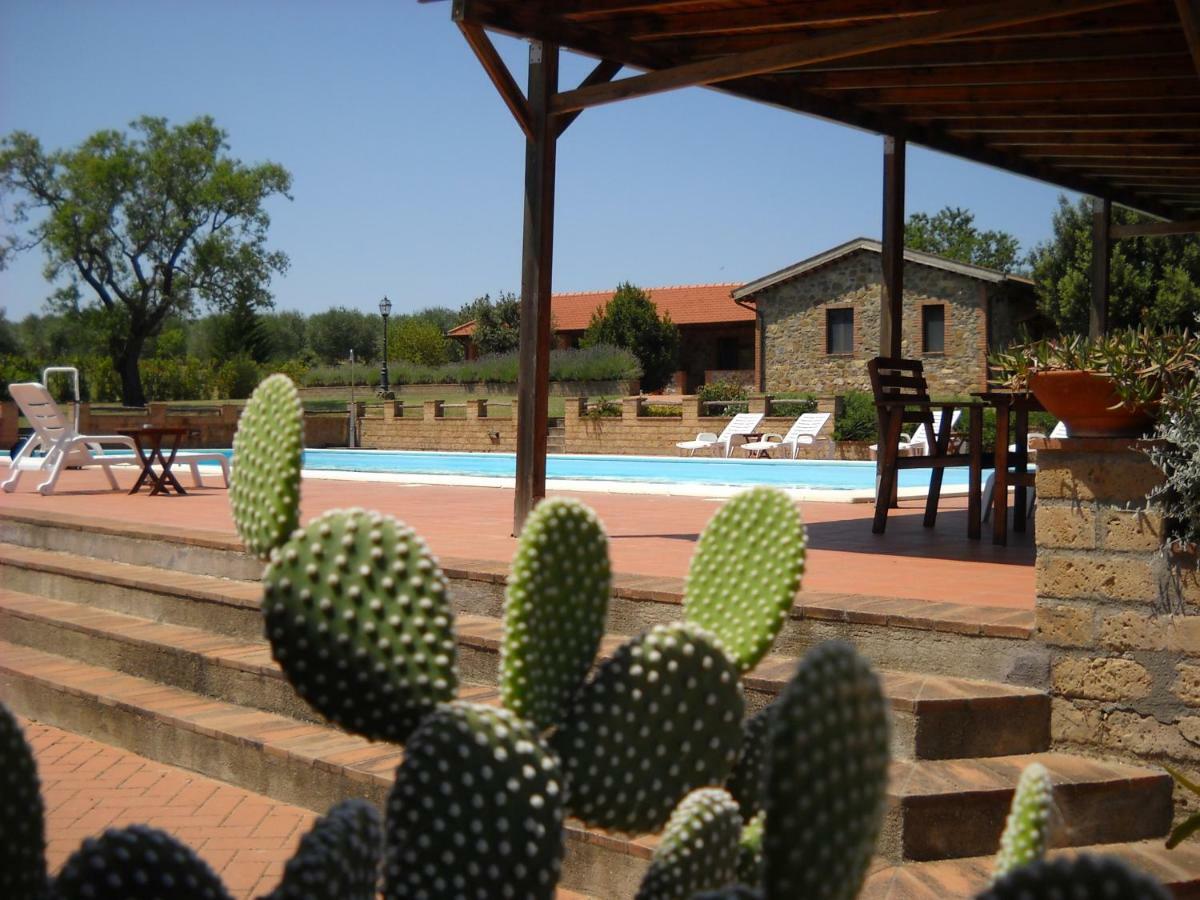 Agriturismo Podere Del Vescovo Montenero d'Orcia Exterior foto