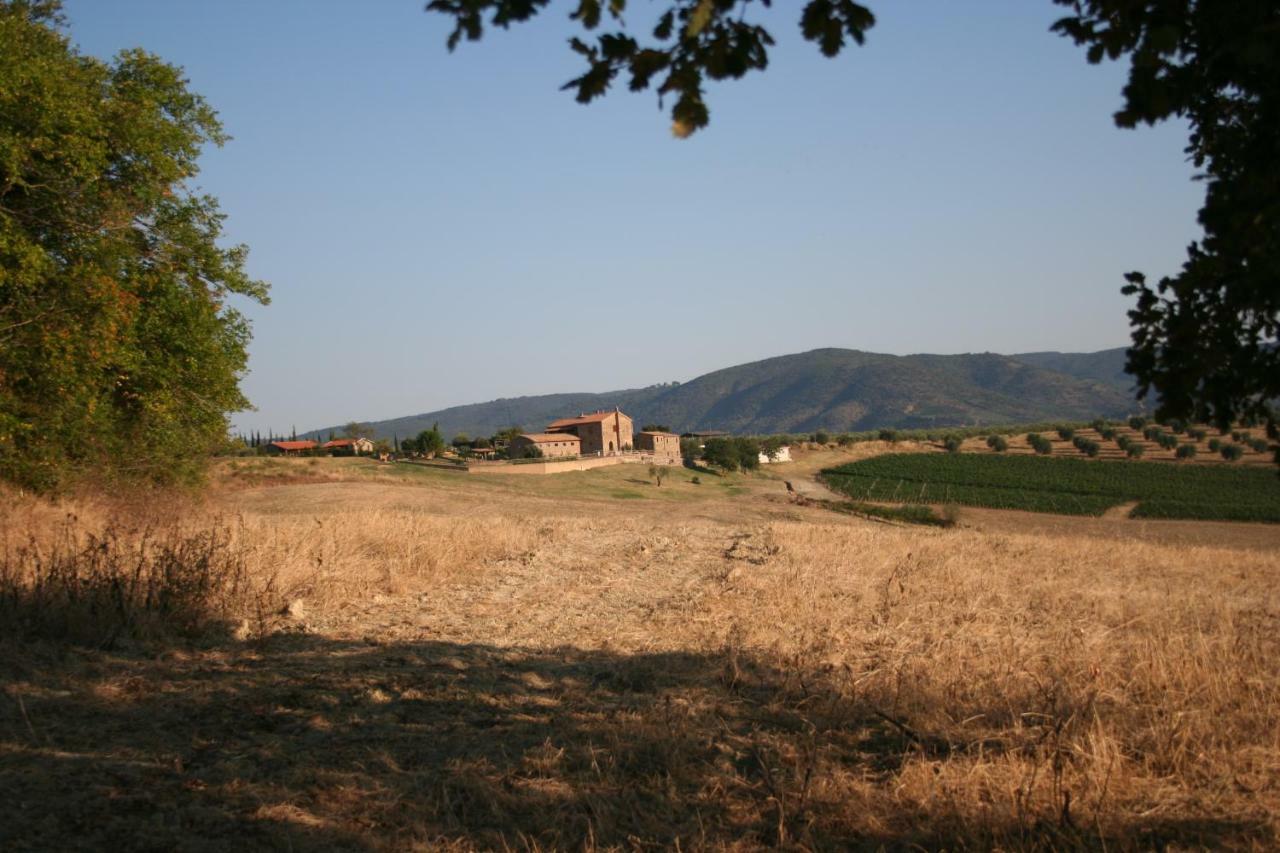 Agriturismo Podere Del Vescovo Montenero d'Orcia Exterior foto