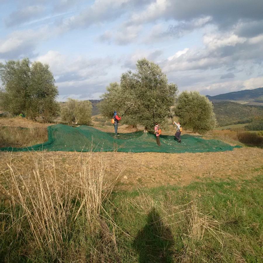 Agriturismo Podere Del Vescovo Montenero d'Orcia Exterior foto