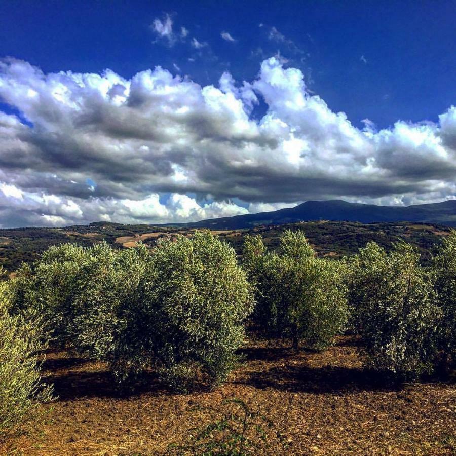 Agriturismo Podere Del Vescovo Montenero d'Orcia Exterior foto