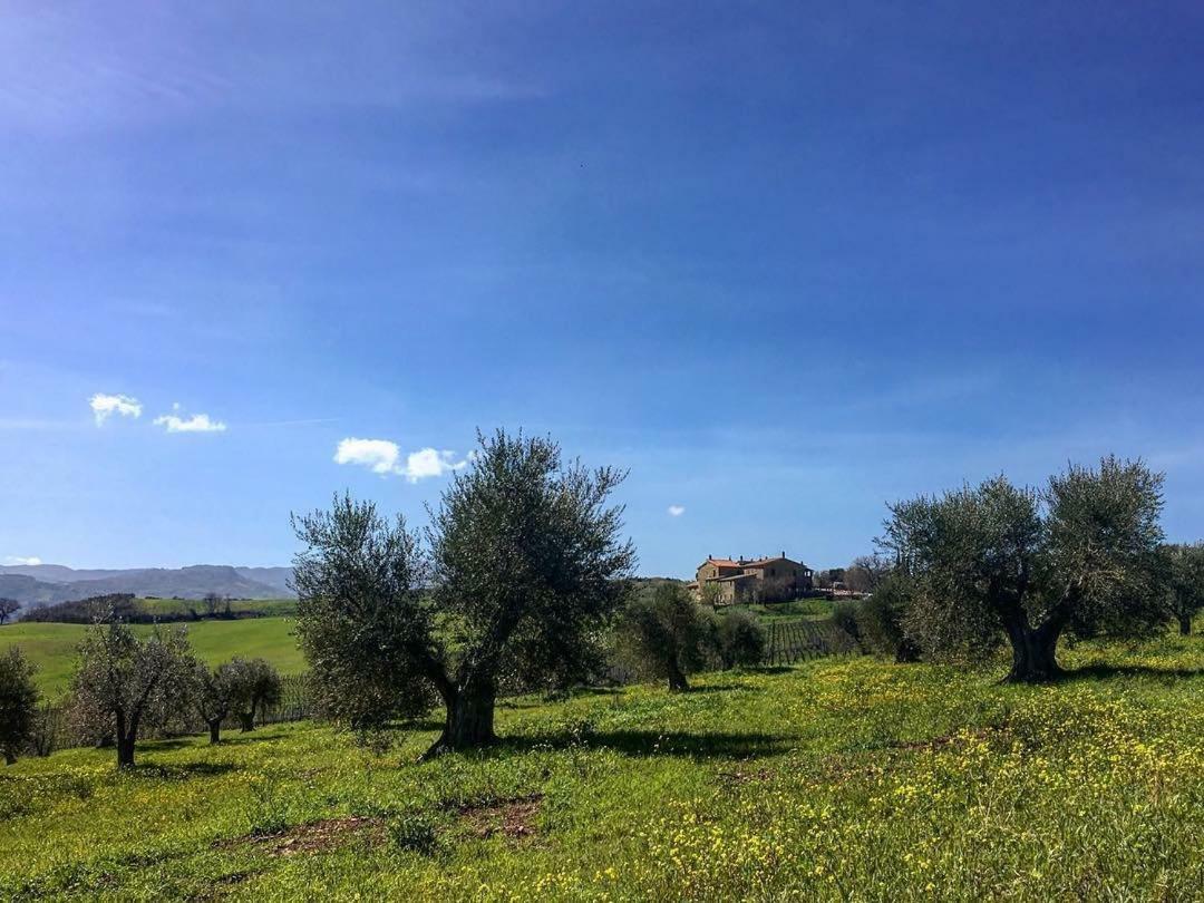 Agriturismo Podere Del Vescovo Montenero d'Orcia Exterior foto